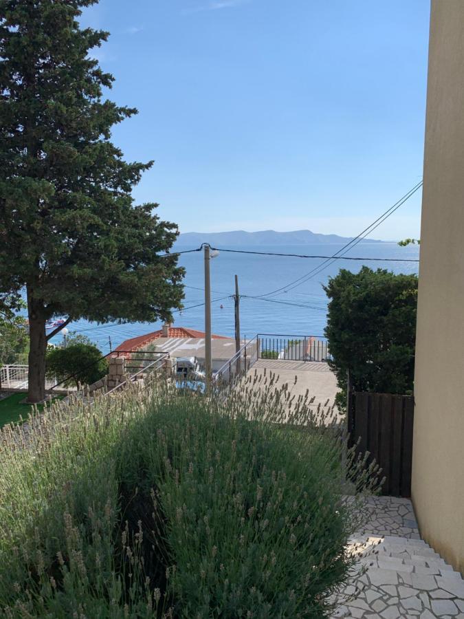 Apartment Ivanka سينج المظهر الخارجي الصورة